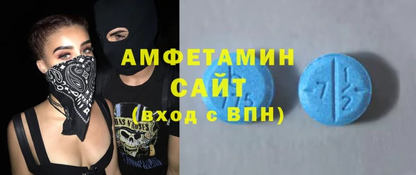 хмурый Верея