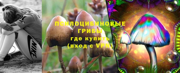 хмурый Верея