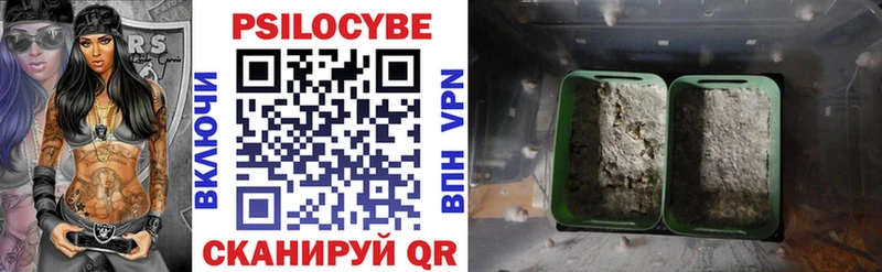купить закладку  Каменск-Уральский  shop состав  Галлюциногенные грибы ЛСД 